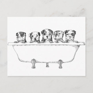 Pitbull Welpen in der Tube - Illustration Postkarte