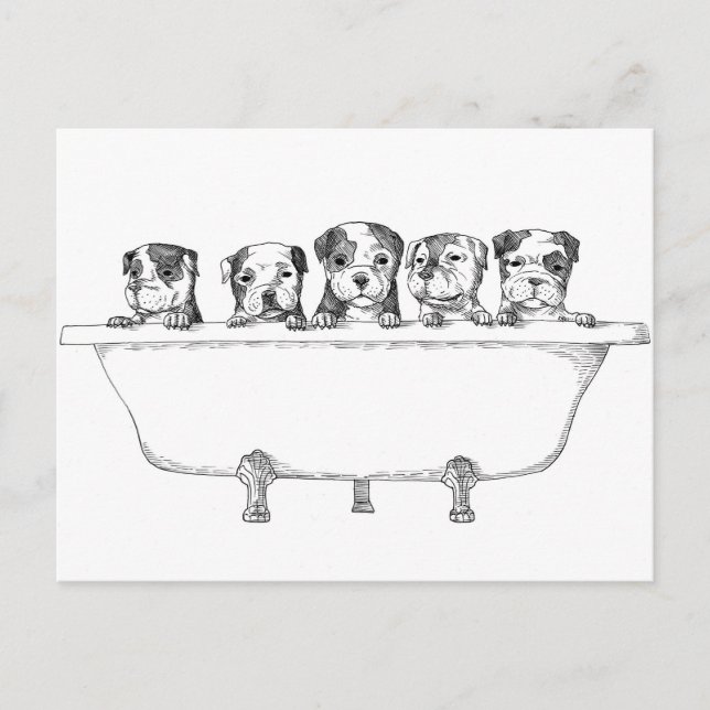 Pitbull Welpen in der Tube - Illustration Postkarte (Vorderseite)