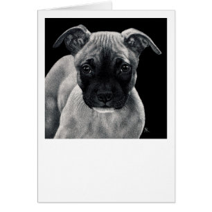 Pitbull-Welpen-Karte - "Herr Mischief "
