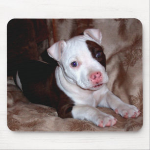 Pitbull-Welpen-Mauspad Mousepad