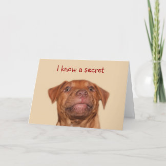 Pitbull Welpengeburtstag Karte