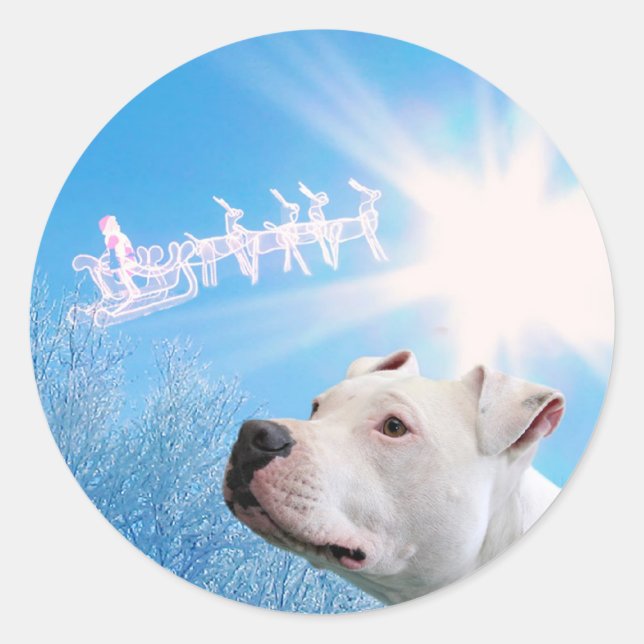 PItbull White Dog Weihnachtswunsch Runder Aufkleber (Vorderseite)