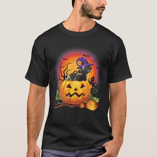 Pitbull Witch Pumpkin Halloween Hund Lover Kostüm T-Shirt (Vorderseite)