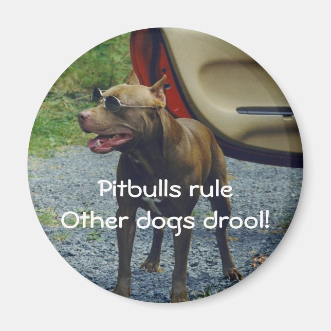 Pitbulle-Regel Magnet (Vorne)