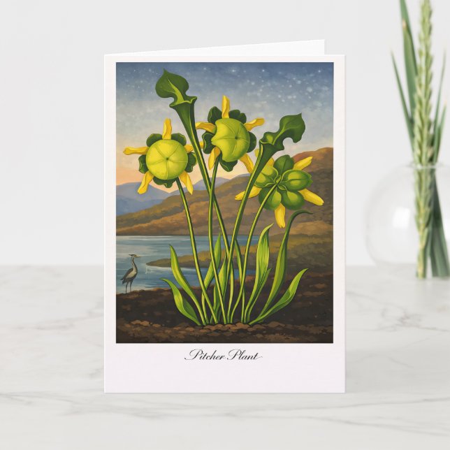 Pitcher Plant — Modern Botanical Reinterpretation Karte (Vorderseite)