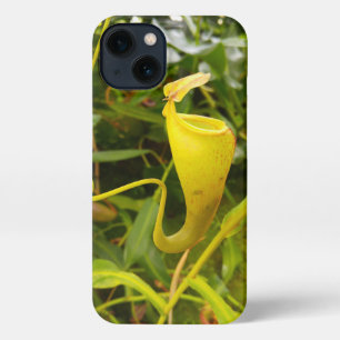 Pitcher Plant Nepenthes Carnivorous Nature Photo iPhone Hülle