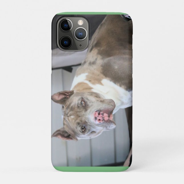 Pitt bull Case-Mate iPhone hülle (Rückseite)