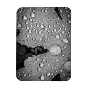 Pitter Patter — 3" x 4" Flexibles Foto Magnet