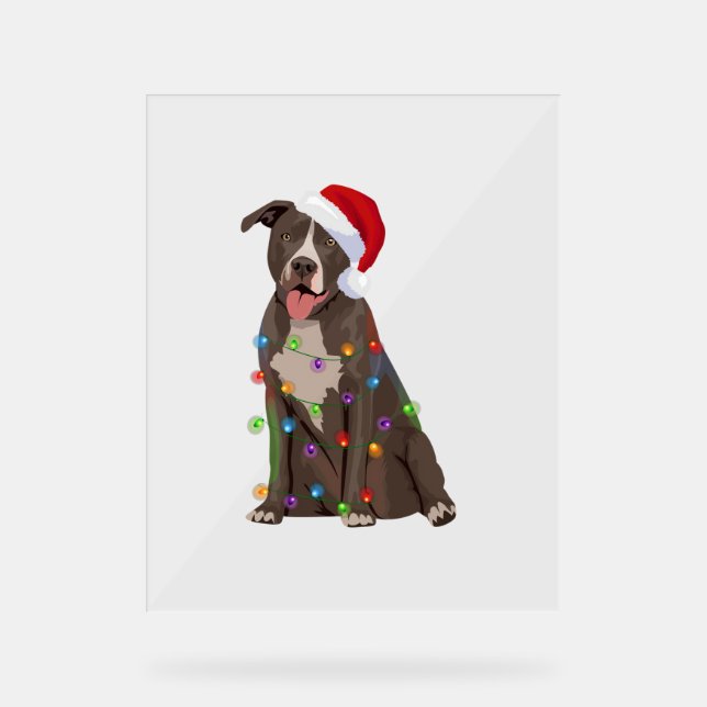 Pittie Pitbull feux de Noël Noël Noël Amoureux des (Recto)