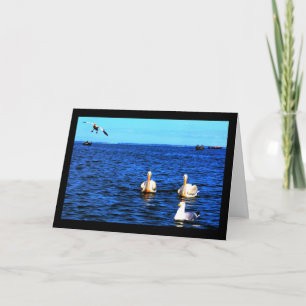 Pittoresque Lake Winnebago Penser À Votre Carte