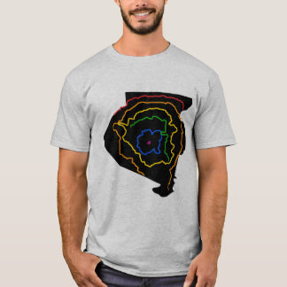 Pittsburgh-Gurt-Systems-T - Shirt (grau)