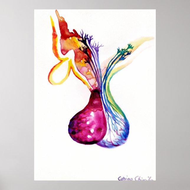 Pituitus Poster (Vorne)