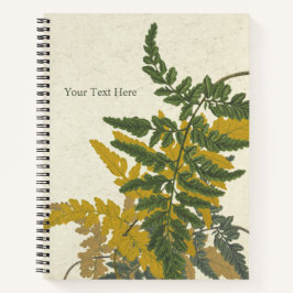 Pityrogramma chrysophylla Fern Notizbuch