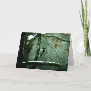 Pivert dans la carte de voeux de neige