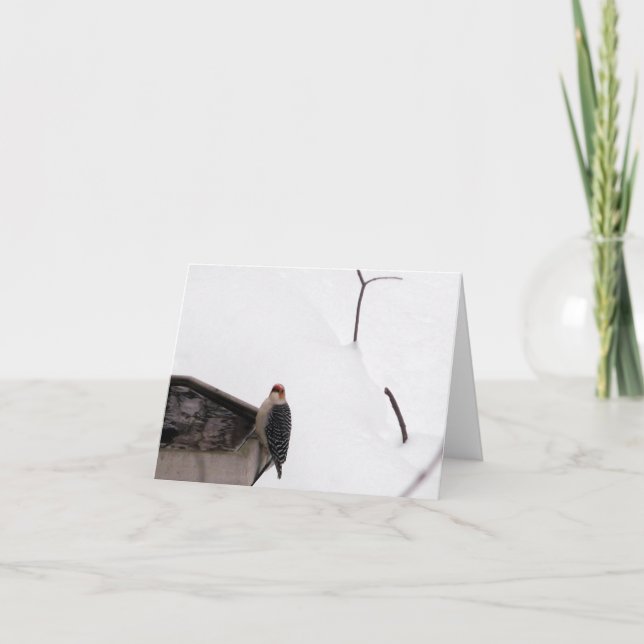 Pivert de carte de note de région boisée (Devant)