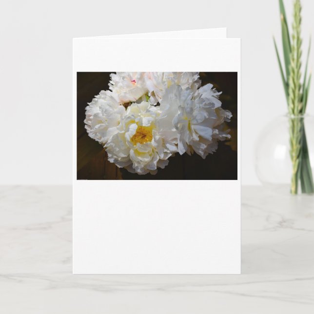 Pivoine, carte (Devant)