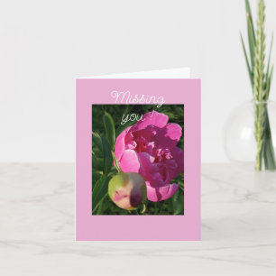 Pivoine rose - Vous manquant Carte