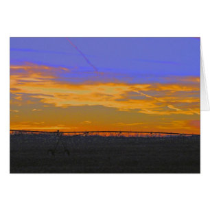 Pivot dans Sunset 2