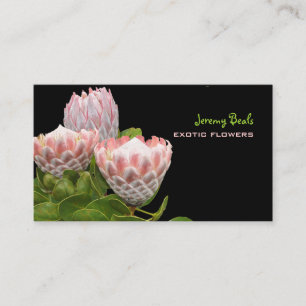 Pix Dezines maui Protea für Indien Visitenkarte