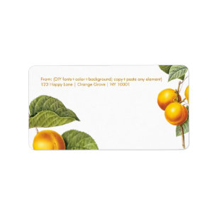 Pix Dezines Orchard/Pfirsiche/Redoute Adressaufkleber
