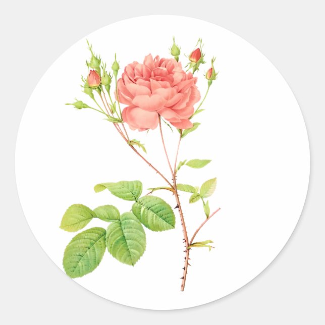 PixDezine Vintage viktorianische Rose/redouine Runder Aufkleber (Vorderseite)