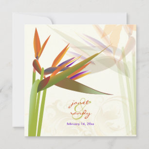 PixDezines-BIRD VON PARADISE/DIY-Hintergrundfarbe Einladung