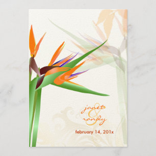 PixDezines BIRD VON PARADISE/DIY Hintergrundfarbe Einladung