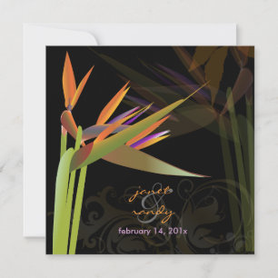 PixDezines BIRD VON PARADISE/DIY Hintergrundfarbe Einladung