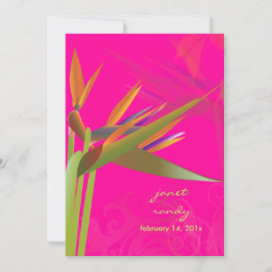 PixDezines BIRD VON PARADISE/DIY Hintergrundfarbe Einladung