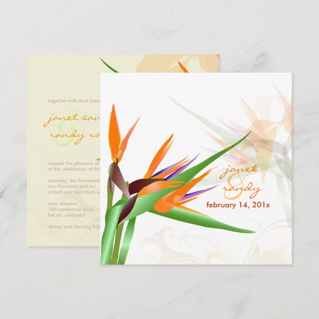 PixDezines BIRD VON PARADISE/DIY Hintergrundfarbe Einladung (Vorne/Hinten)