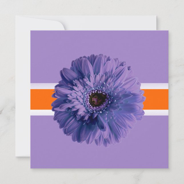 PixDezines Gerbera, lila/dunkle Hintergrundfarben Einladung (Vorderseite)