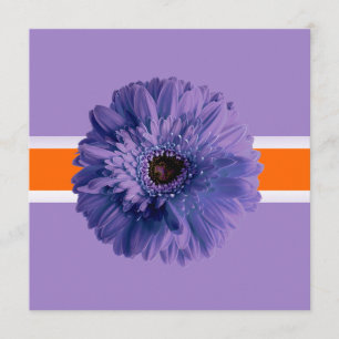 PixDezines Gerbera, lila/dunkle Hintergrundfarben Einladung