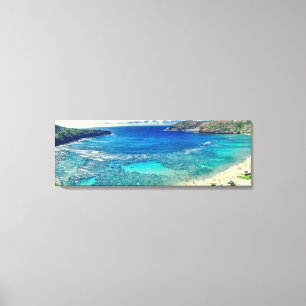 PixDezines Hanauma Bay Leinwanddruck