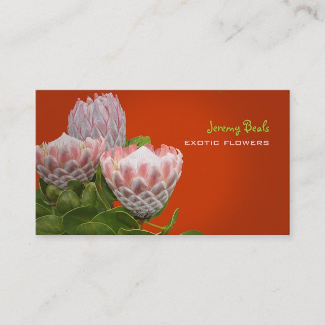 PixDezines maui-Protea/DJ-Hintergrundfarbe Visitenkarte (Vorderseite)