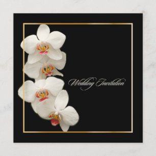 PixDezines Orchideen/Phalaenopsis Einladung