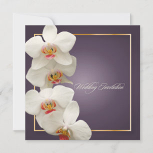 PixDezines orchids/Phalaenopsis Einladung