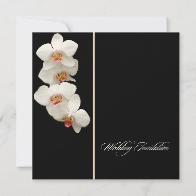 PixDezines orchids/Phalaenopsis Einladung (Vorderseite)
