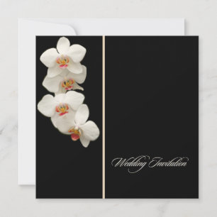 PixDezines orchids/Phalaenopsis Einladung