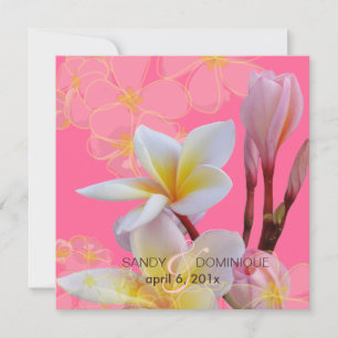 PixDezines Pink Plumeria Hochzeitsempfang Einladung