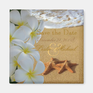 PixDezines Rett Datum, Strand+Plumeria+Starfish Magnet