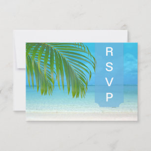 PixDezines rsvp frondes Palm/plage