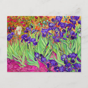 PixDezines van gogh iris/st. remy Postkarte
