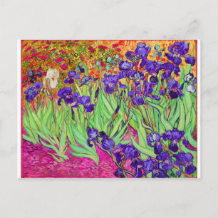 PixDezines van gogh iris/st. remy Postkarte