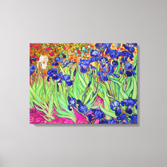 PixDezines van gogh irises/st. remy Leinwanddruck (Vorderseite)