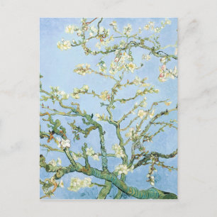 PixDezines Van Gogh Mandelblüten bei Saint-Rémy Postkarte