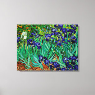 PixDezines van gogh Schwertlilien/st. remy Leinwanddruck