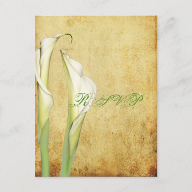 PixDezines Vintag Calla Lily Einladungspostkarte (Vorderseite)