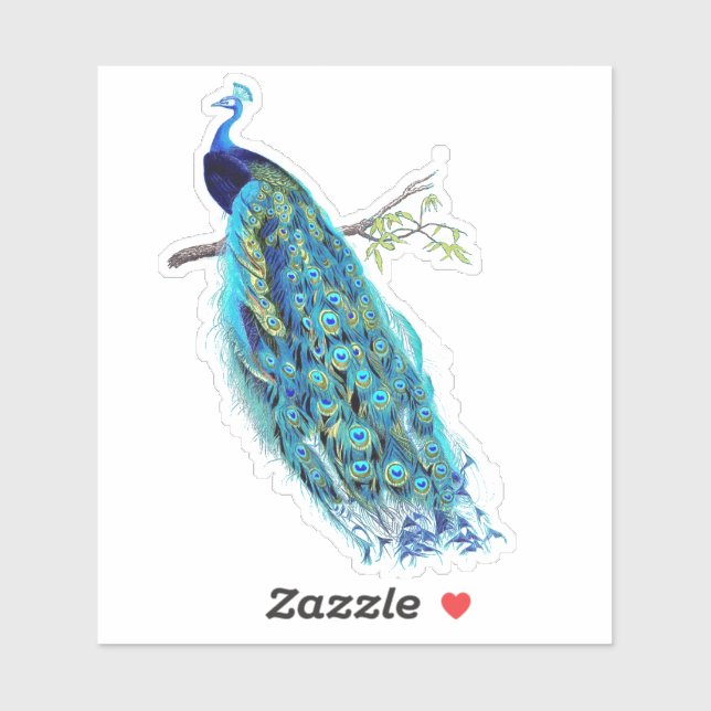 PixDezines Vintag Peacock Aqua Aufkleber (Blatt)
