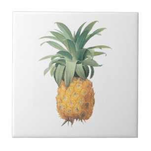 PixDezines Vintager Ananas-/Deuchhintergrund Fliese