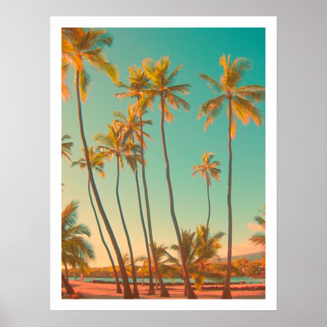PixDezines Vintager hawaiianischer Strand/Honaunau Poster (Vorne)